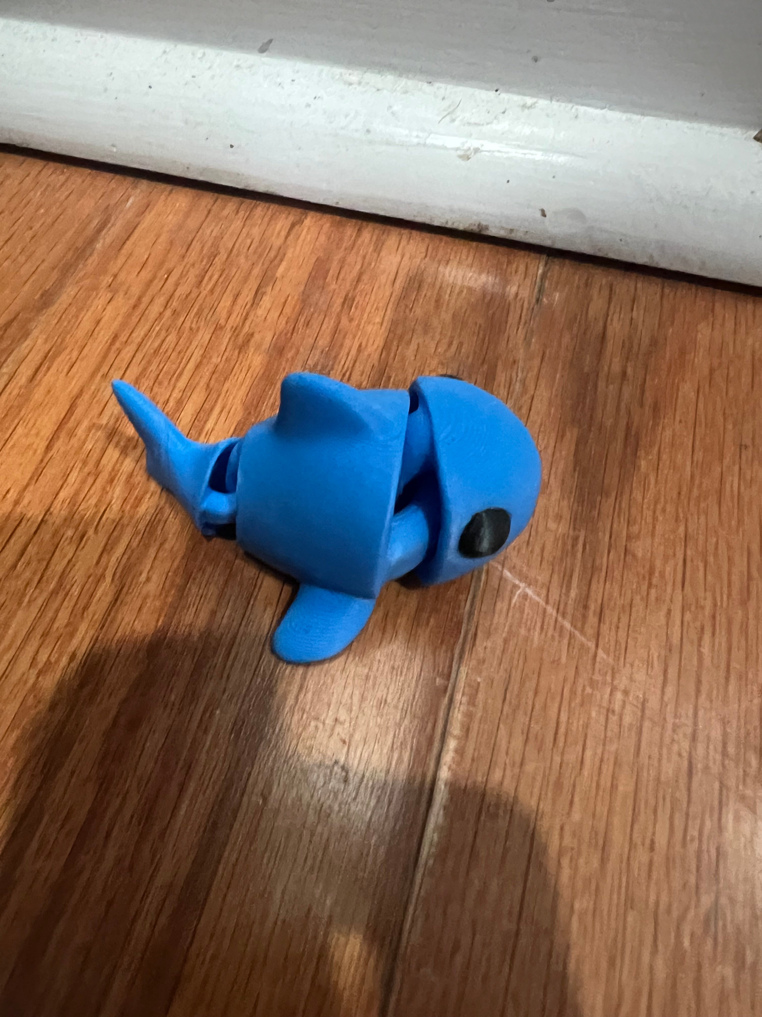 mini shark that moves