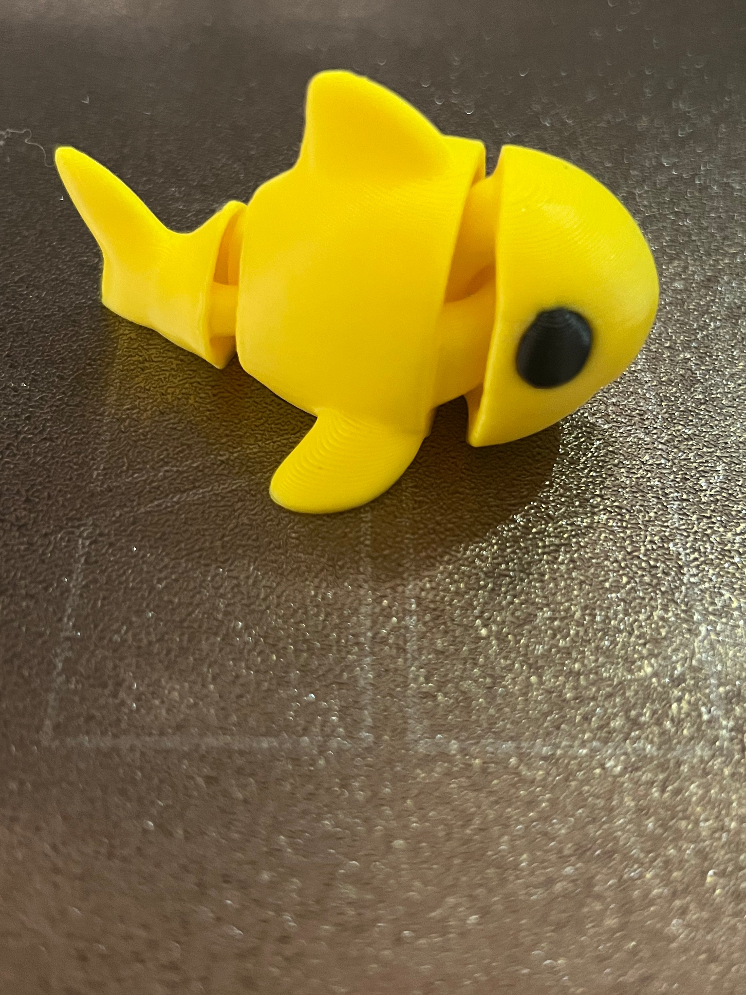 mini shark that moves